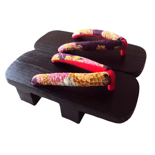 Pair of colorful sandals with wooden soles on a white background